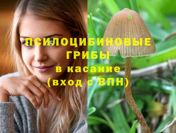 стафф Бугульма